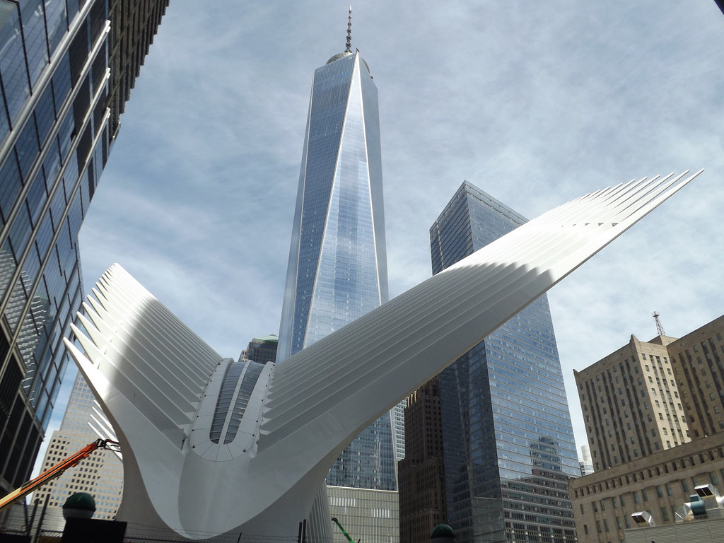 Oculus Anti-Graffiti Glass Protection Window Film