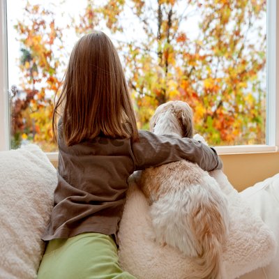 3M™ Thinsulate™ Window Film Climate Control Series for Residential 3M™ Thinsulate™ Window Film Climate Control Series for Residential