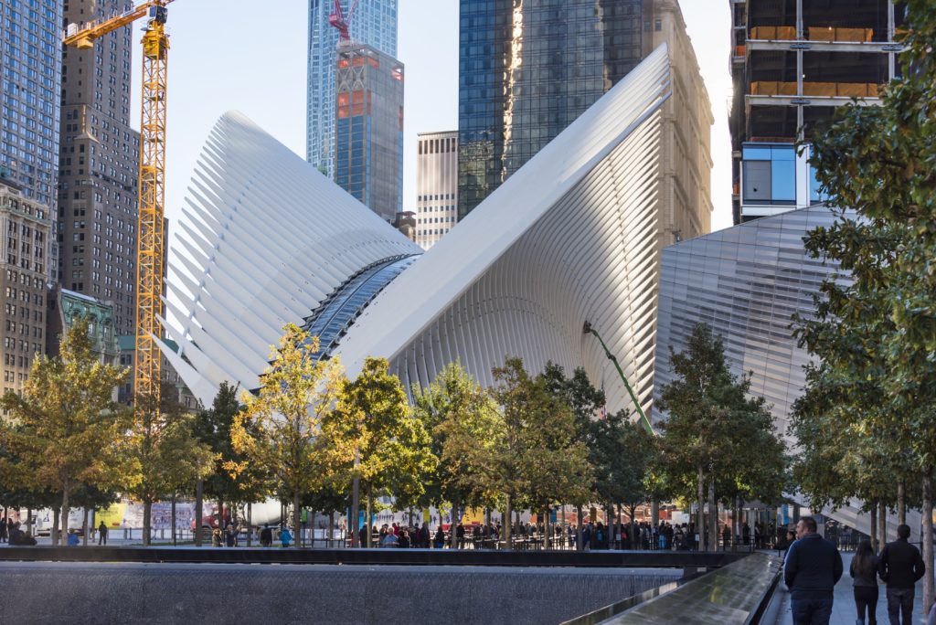 Oculus Glass Protection Anti-Graffiti Window Film