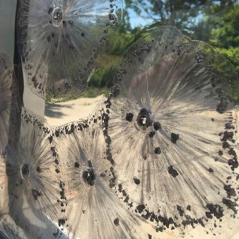 blast-mitigation-security-film