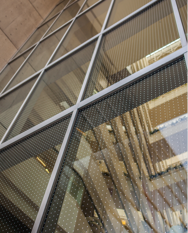 Feather Friendly® Bird Strike Window Decals