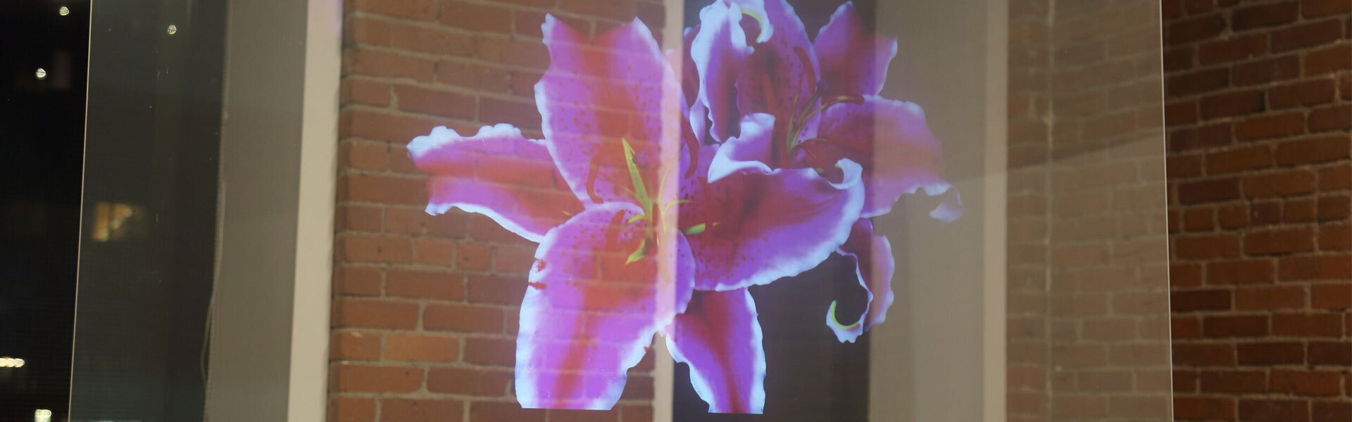 Lux Labs ClearBright™ Transparent Display Screen Film