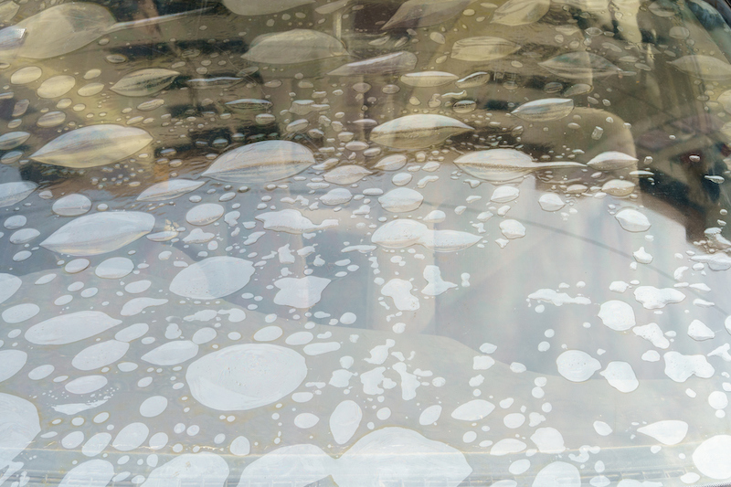 Bubbling window film