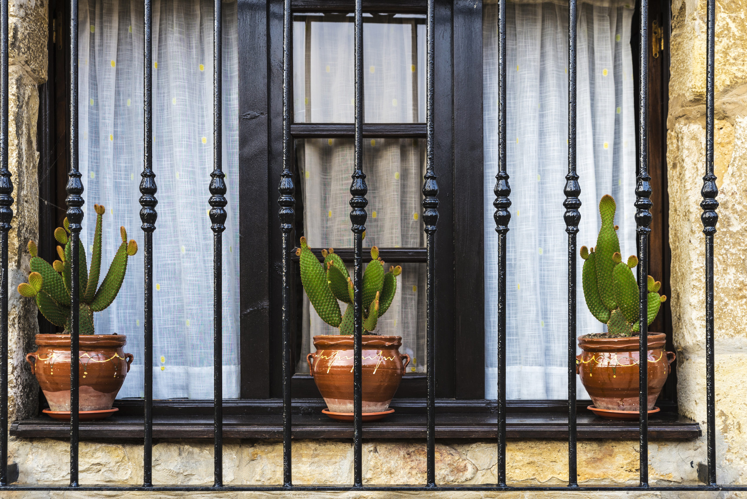 Anti-Theft Window Bars